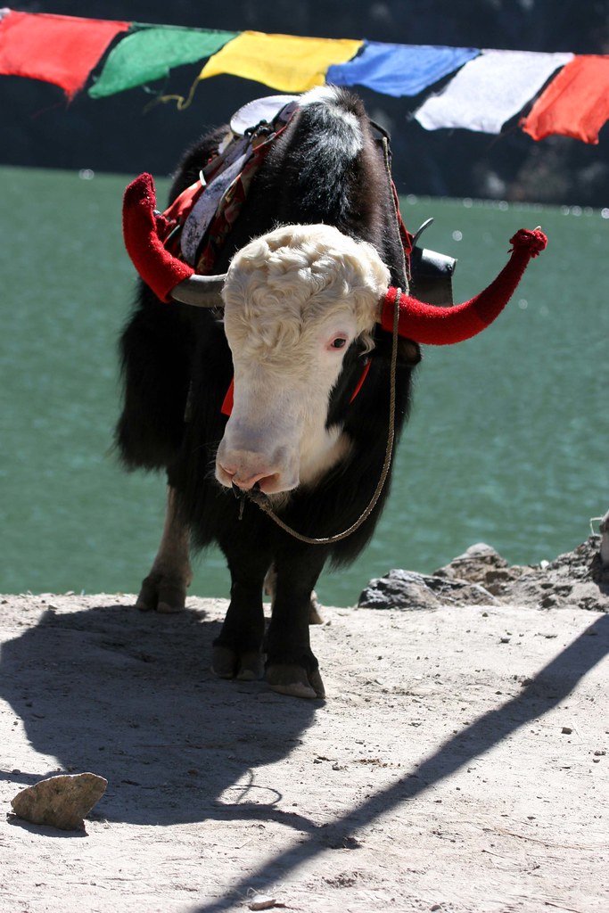 Sikkim